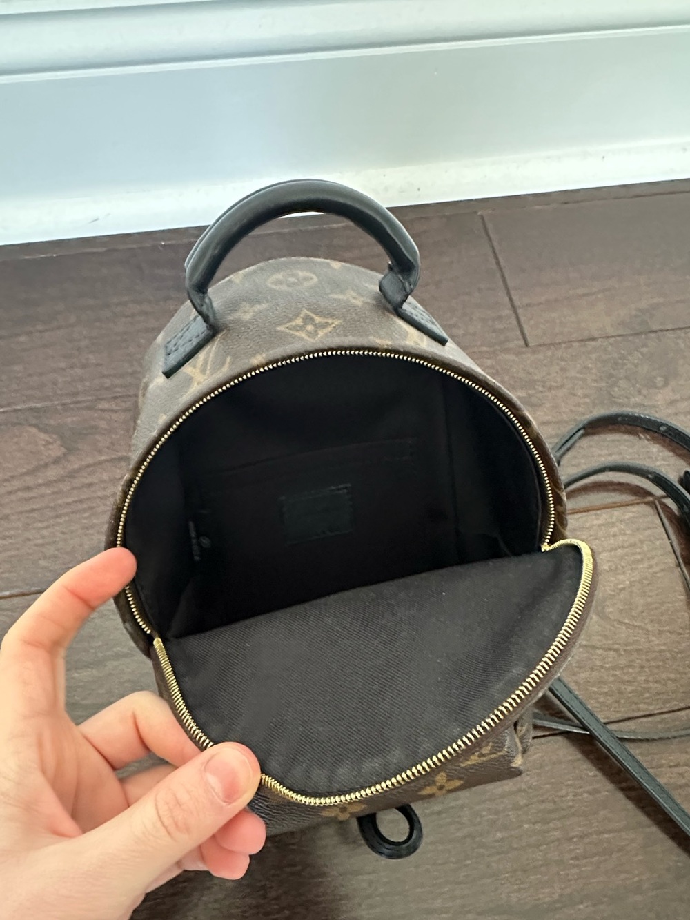 Louis Vuitton Palm Springs Mini Backpack - Picture 10 of 16